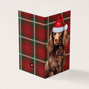 Boykin Spaniel Christmas Dog with Holiday Plaid