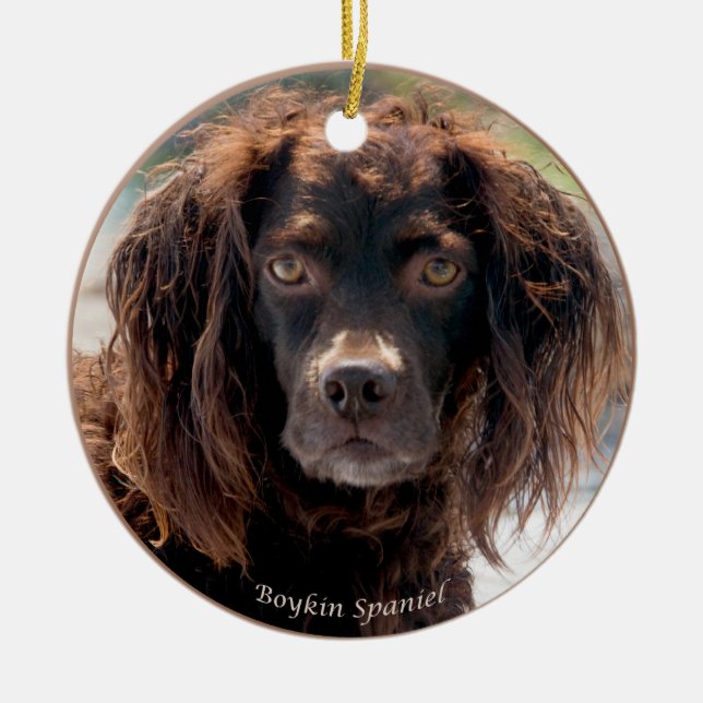 Boykin Spaniel Christmas Ornament (Front)