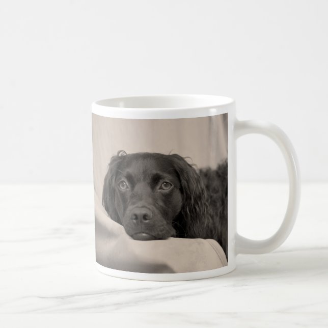 Boykin Spaniel Coffee Mug (Right)
