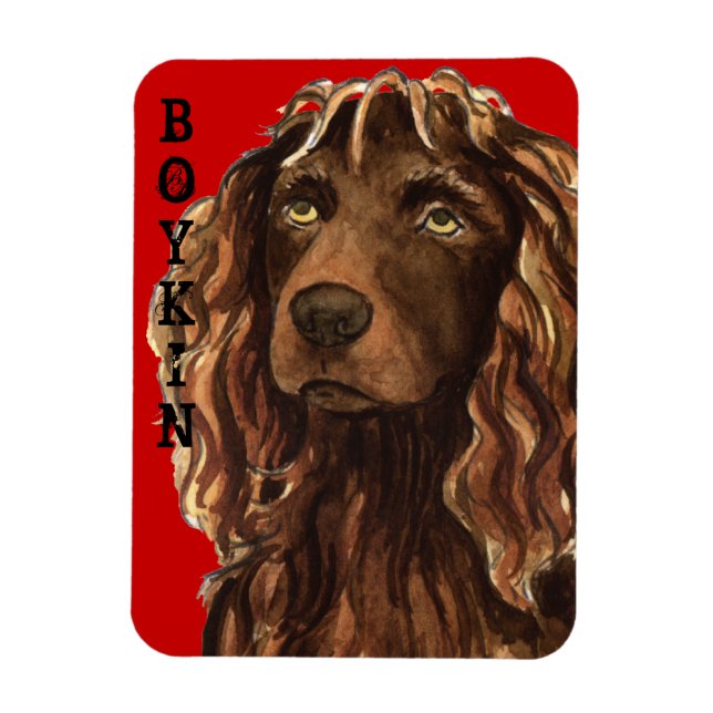 Boykin Spaniel Colour Block Magnet (Vertical)