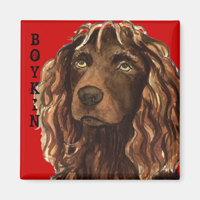 Boykin Spaniel Colour Block Magnet (Front)