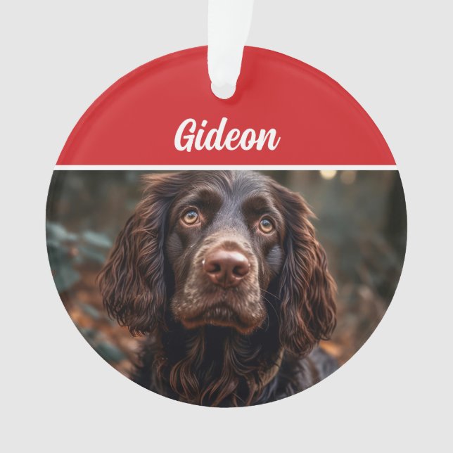 Boykin Spaniel Dog Holiday Photo Christmas Ornament (Front)