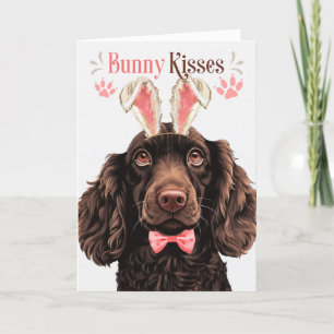 Boykin Spaniel Dog in Bunny Ears for Easter Holiday Card
