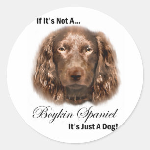 Boykin Spaniel Gifts Classic Round Sticker