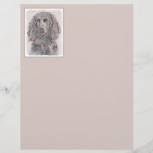 Boykin Spaniel Painting - Cute Original Dog Art