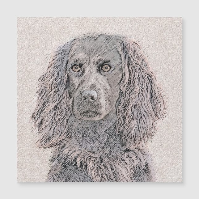 Boykin Spaniel Painting - Cute Original Dog Art (Front)