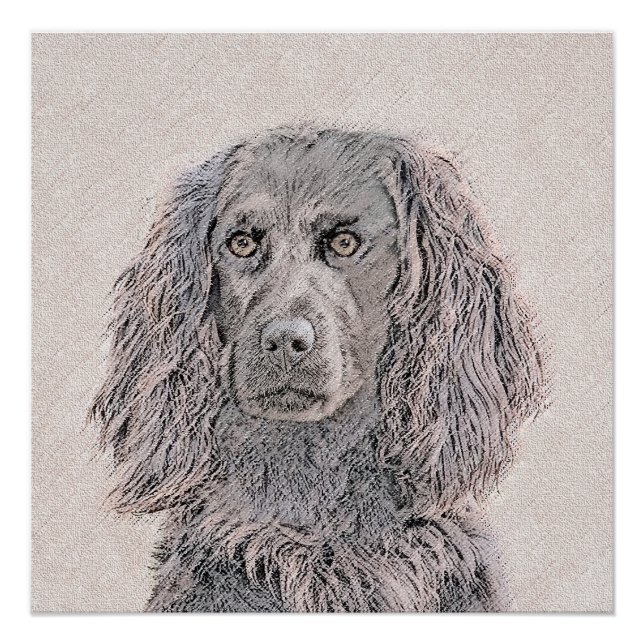 Boykin Spaniel Painting - Cute Original Dog Art Poster (Front)