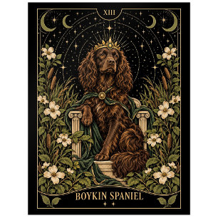 Boykin Spaniel, Starlit Tarot Art Postcard