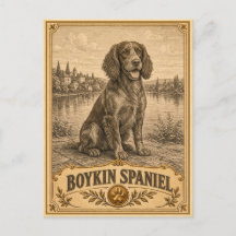 Boykin Spaniel, Vintage Heritage Dog