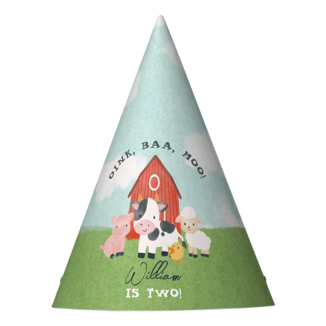 Boys Cute Farm Animal Barnyard Kids 2nd Birthday Party Hat (Front)