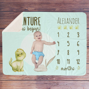 Boy's Cute T Rex Dinosaur Baby Milestone Sherpa Blanket