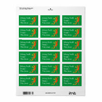 Boy's gecko lizard reptile name book labels