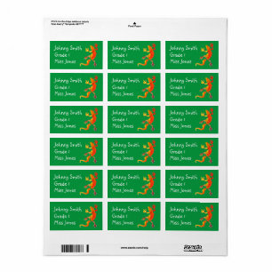 Boy's gecko lizard reptile name book labels