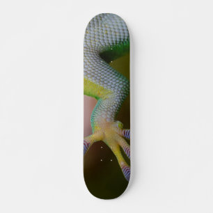 Boy's Gecko Skateboard