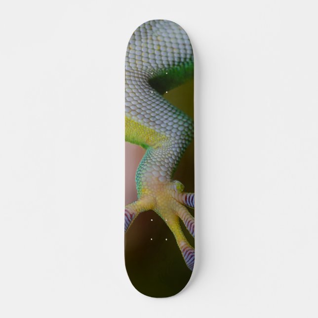 Boy's Gecko Skateboard (Front)