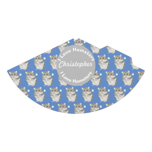 Boys named Party Hat with Grey and White Hamster (Front)
