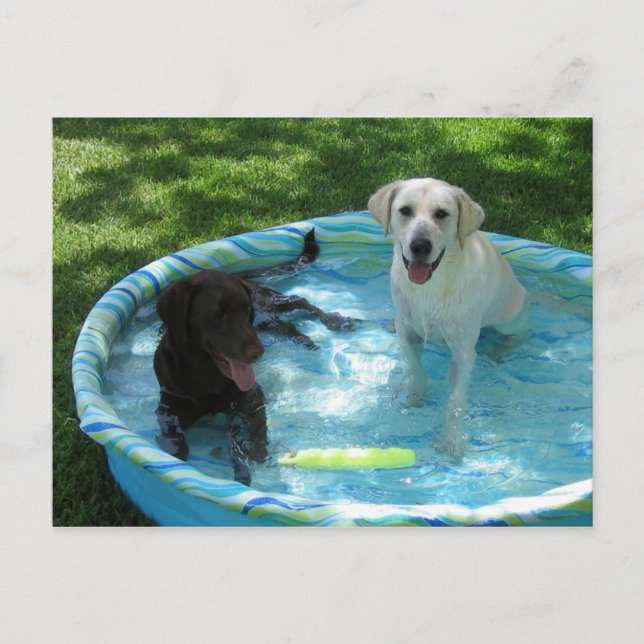 Boys of Summer postcard (Front)