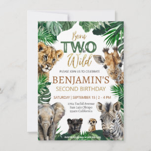 Boys Safari Two Wild Birthday Invitation