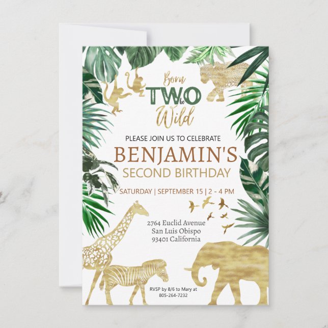 Boys Safari Two Wild Birthday Invitation (Front)
