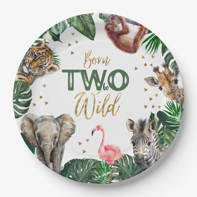 Boys Safari Two Wild Birthday Paper Plate (Front)