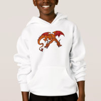 Boys two headed dragon shirt