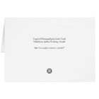 BPUR Black Cat Purple Eyes