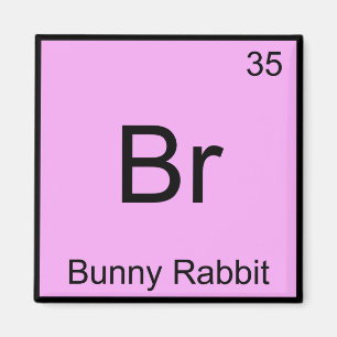 Br - Bunny Rabbit Funny Chemistry Element Symbol T Magnet