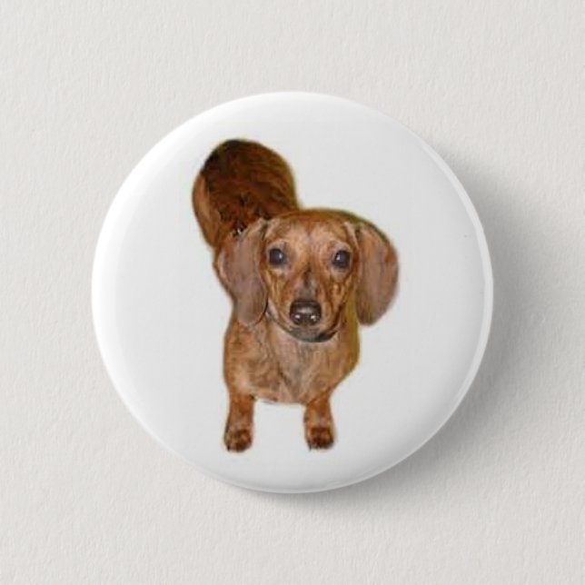 br.dachshund 6 cm round badge (Front)