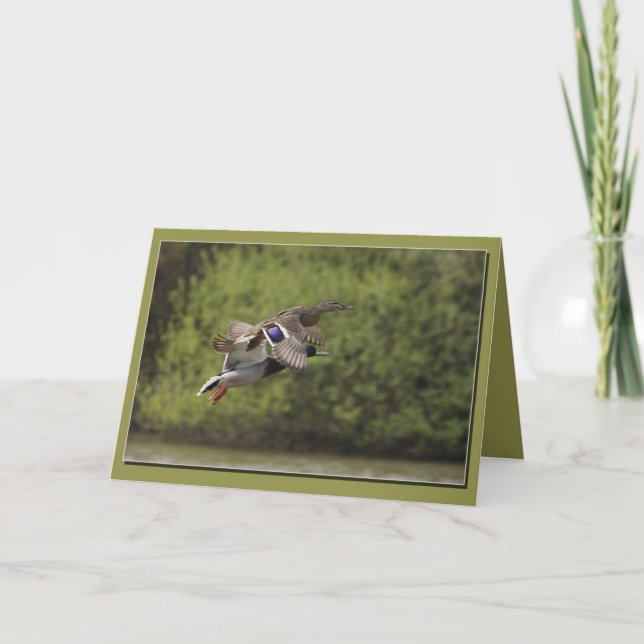 Brace of Ducks Card (Front)