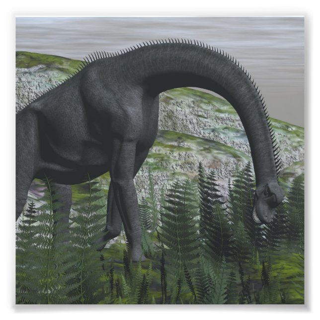 Brachiosaurus dinosaur eating fern - 3D render Photo Print (Front)