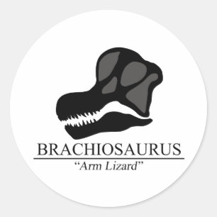 Brachiosaurus Skull Classic Round Sticker