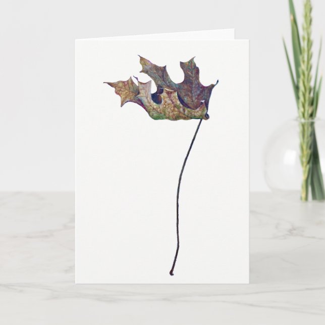 Brachychiton B. australis Leaf Greeting Card (Front)