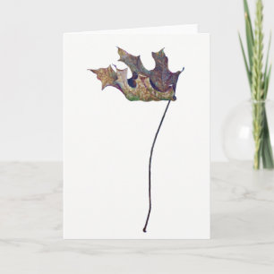 Brachychiton B. australis Leaf Greeting Card