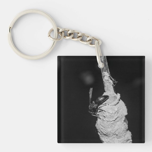 Brachygastra Key Ring (Front)