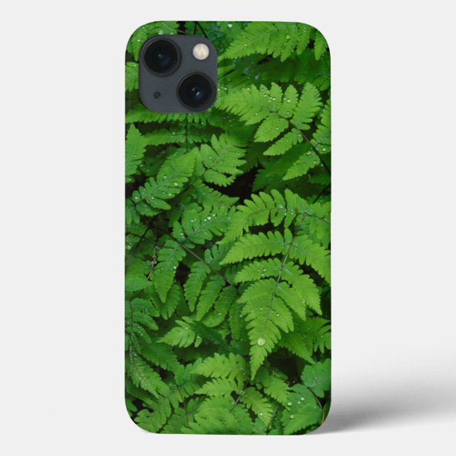 Bracken fern with rain drops, Washington State Case-Mate iPhone Case (Back)