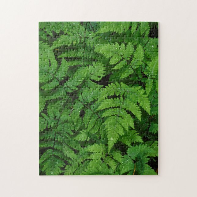 Bracken fern with rain drops, Washington State Jigsaw Puzzle (Vertical)