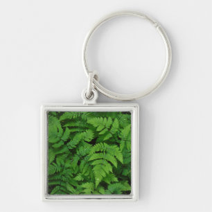 Bracken fern with rain drops, Washington State Key Ring