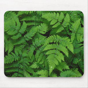 Bracken fern with rain drops, Washington State Mouse Mat