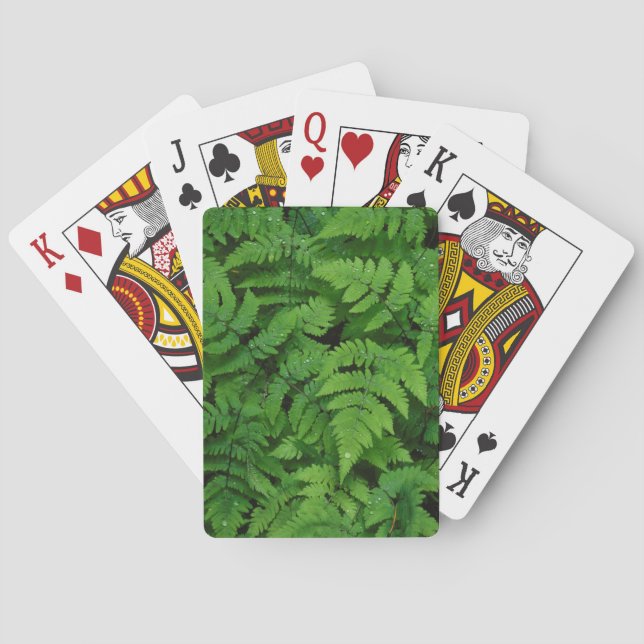 Bracken fern with rain drops, Washington State Playing Cards (Back)