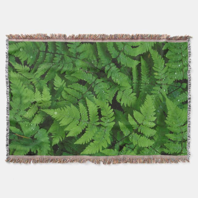 Bracken fern with rain drops, Washington State Throw Blanket (Front)
