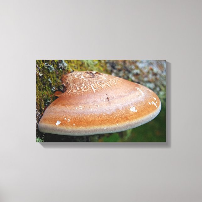 Bracket fungus canvas print (Front)