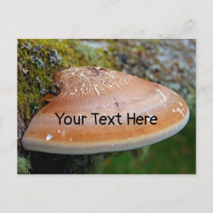 Bracket fungus customisable postcard