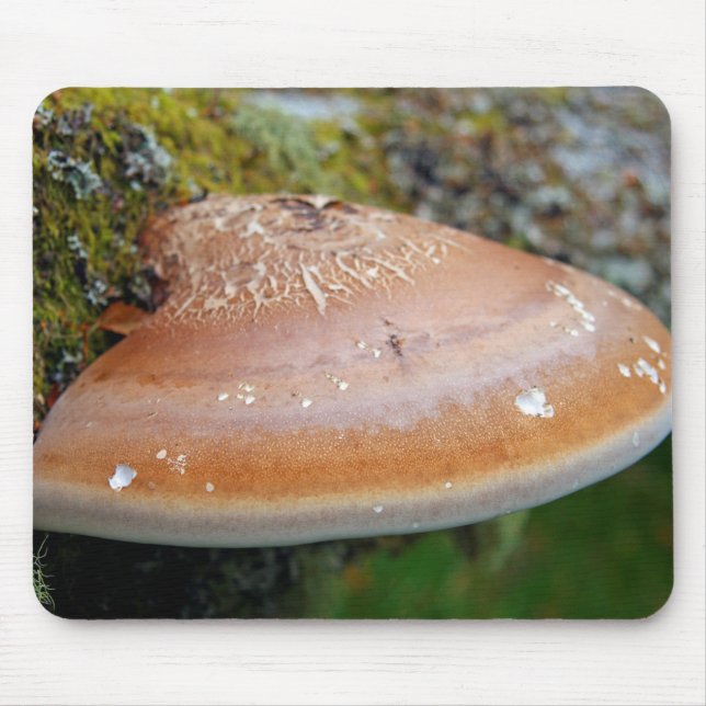Bracket fungus mouse mat (Front)