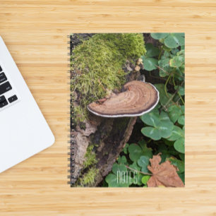 Bracket Fungus on Log Notebook
