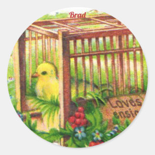 BRAD ~ EASTER CHICK ~ Sweet Cute Vintage Art  Classic Round Sticker