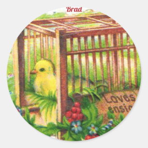 BRAD ~ EASTER CHICK ~ Sweet Cute Vintage Art Classic Round Sticker