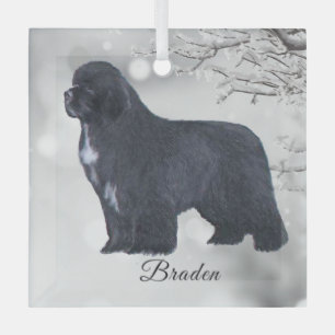 Braden Newf for Carol Glass Tree Decoration