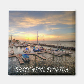 Bradenton Magnet