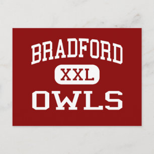 Bradford - Owls - Area - Bradford Pennsylvania Postcard
