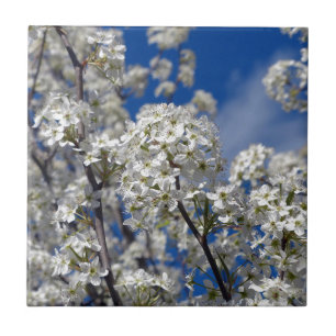 Bradford Pear Blooms Tile